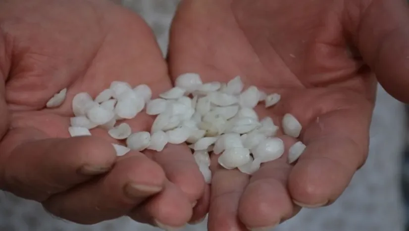 Eşkina Balığı Taşı Faydaları ve Kullanımı