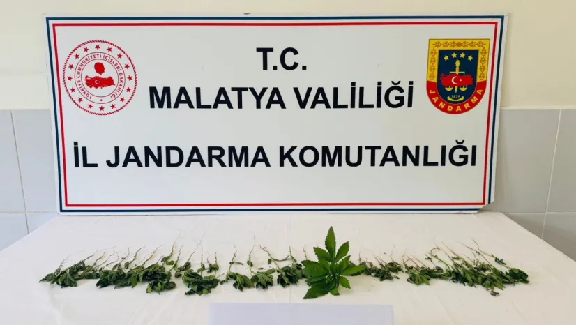 Jandarma'dan Battalgazi, Yeşilyurt, Akçadağ, Doğanşehir ve Darende İlçelerinde operasyon