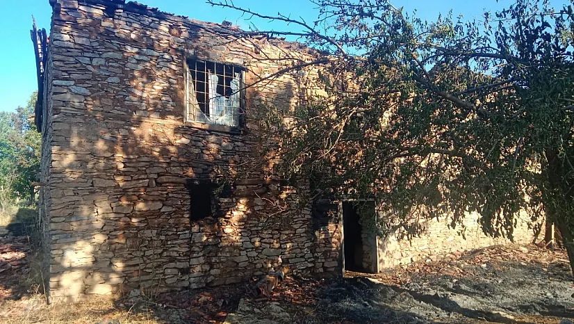 Malatya'da Yangın Felaketi: Meyve Bahçeleri ve Ormanlık Alan Zarar Gördü