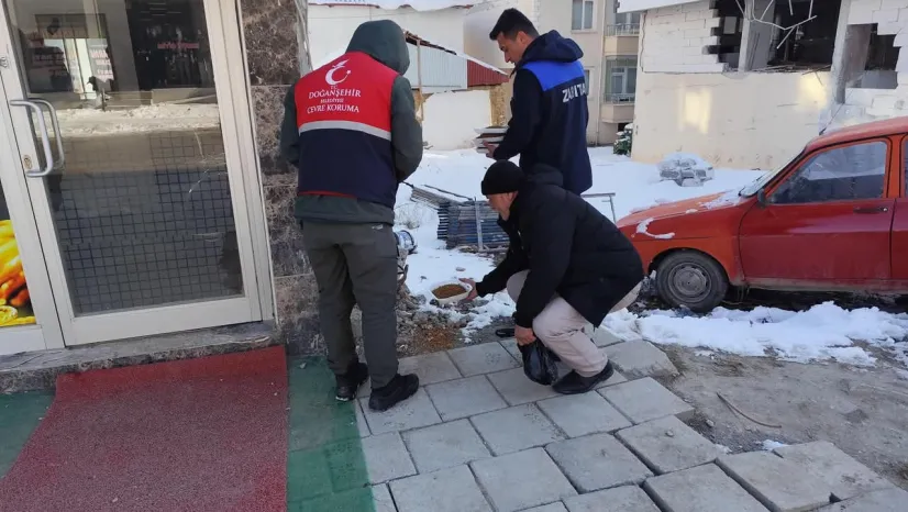 Soğuk kış gününde sokak hayvanları unutulmadı