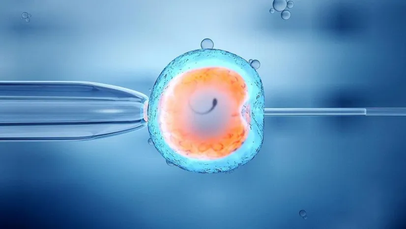 Tüp bebekte kaygıyı yönetmek anne baba olma şansını artırıyor