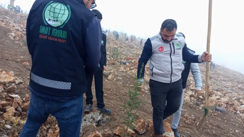 Umut Kervanı'ndan Beydağı'nda Çam Fidanı Seferberliği