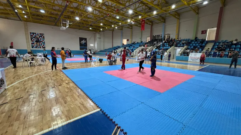 2. Malatya Wushu Kung Fu Bölge Şampiyonası, Malatya Tecde Spor Salonu'nda gerçekleştirildi