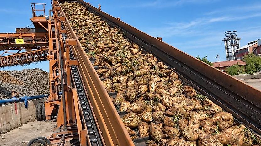 3 Bin 720 Liralık Pancar Fiyatı Tartışma Yarattı