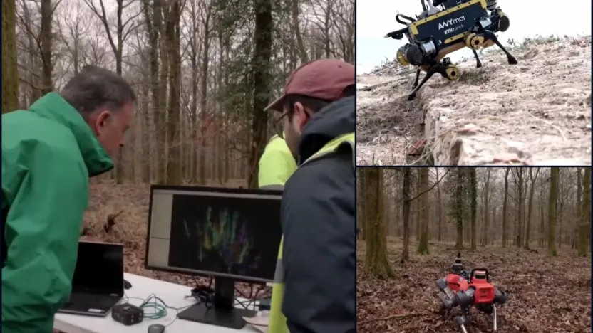 6G destekli robot köpekler orman yangınlarını yapay zeka ile önceden tespit edecek