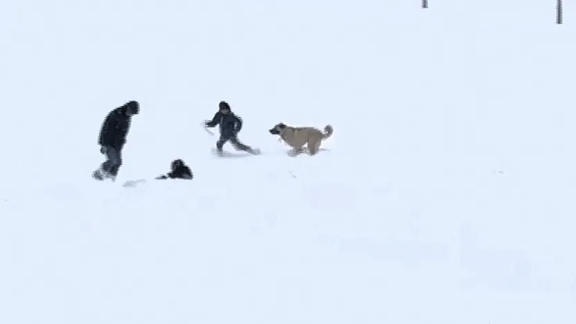 Arguvan'da Kar Altında Gülümseten Görüntüler