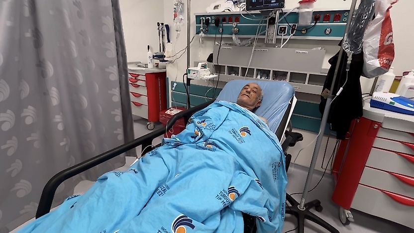 Arıların Saldırısına Uğradı, Ölümden Döndü