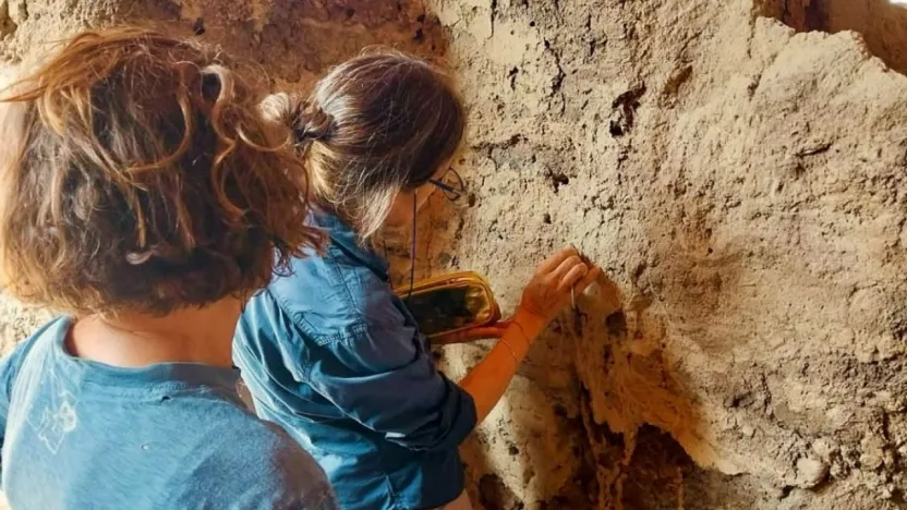 Arslantepe Höyüğü'nde restorasyon çalışması sürüyor