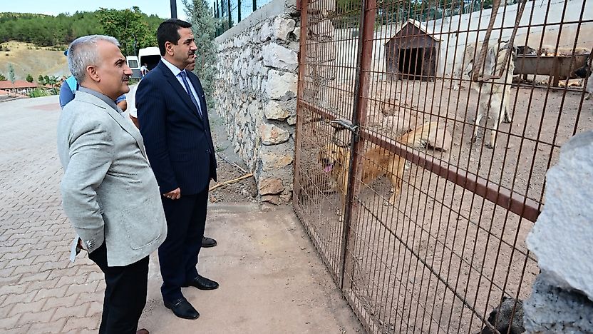 Başkan Taşkın, Hayvan Barınağında İncelemelerde Bulundu