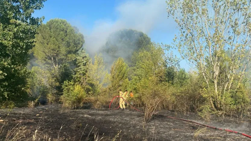 Bursa'daki orman yangınlarında 9 gözaltı