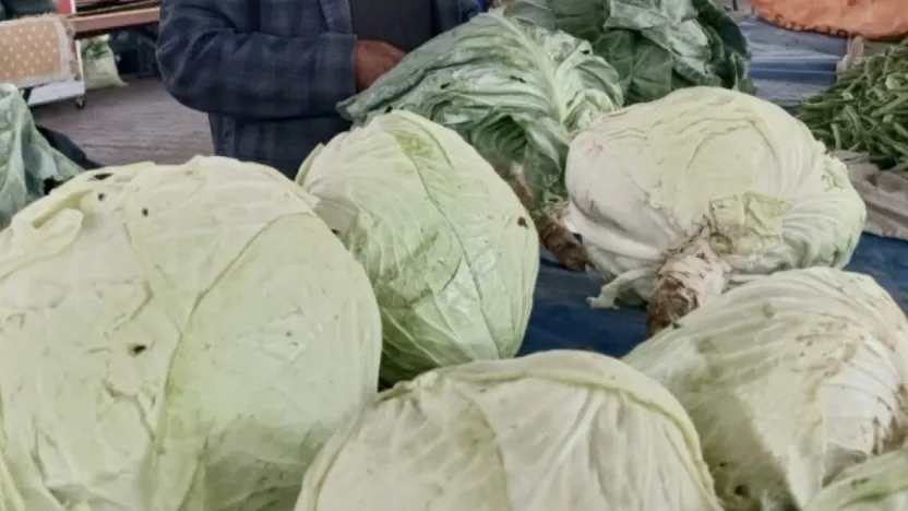 Darende'nin Gizli Lezzeti Göyyar Lahanası Türkiye'nin Gündemine Oturdu