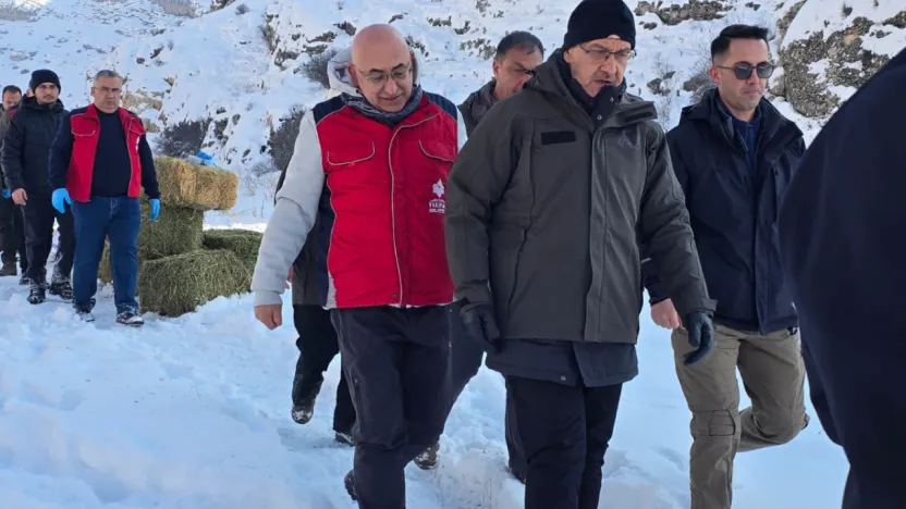 Doğa Dostu Dayanışma: Zorlu Kışta Can Dostlarımıza Umut