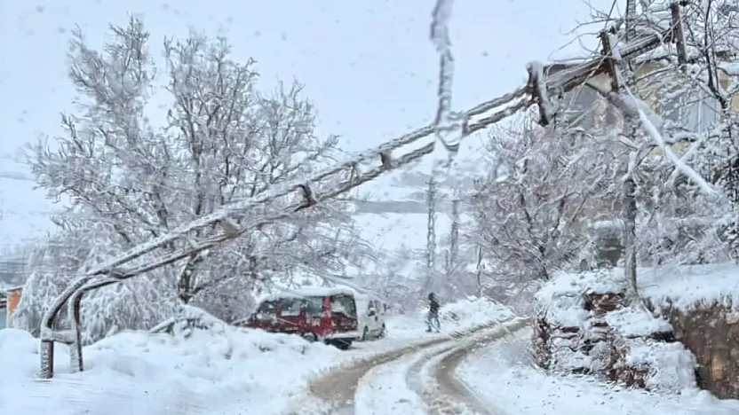Doğanşehir'de Kar ve Tipi Elektrik Direğini Devirdi