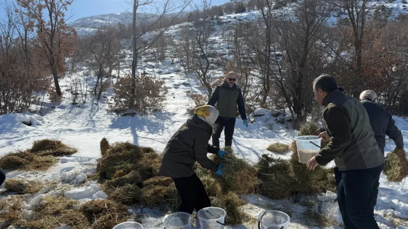 Doğanşehir'de Yaban Hayvanlarına Doğadan Destek