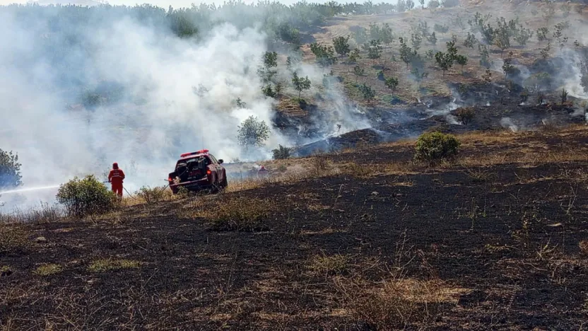 Doğanyol'da orman yangını