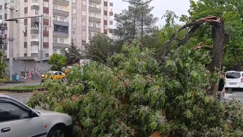 Doğu ve Güneydoğu için toz taşınımı ve fırtına uyarısı