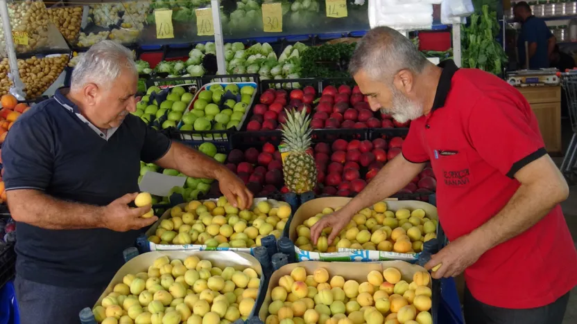 Don vurdu, fiyatlar uçtu: Malatya'nın kayısısı kırmızı etle yarışıyor