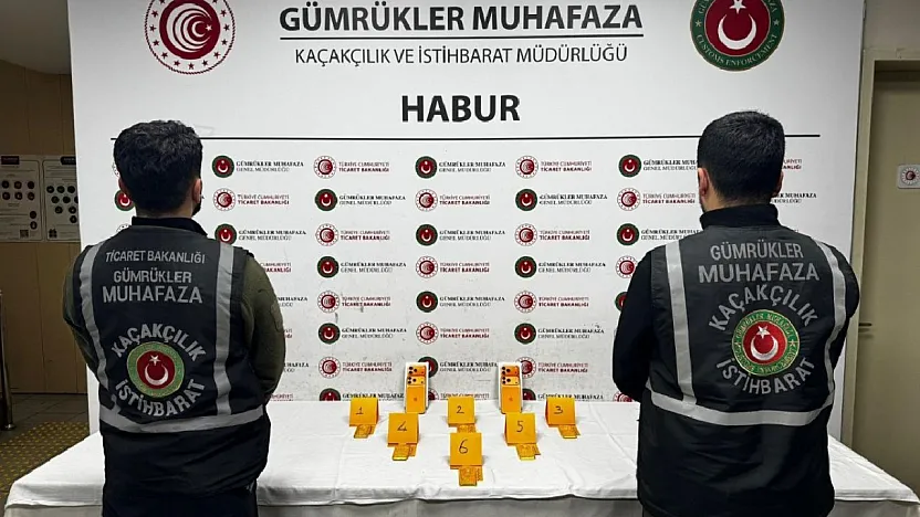 Habur'da Altın Kaçakçılığına Darbe: 41 Kilogram Altın Ele Geçirildi
