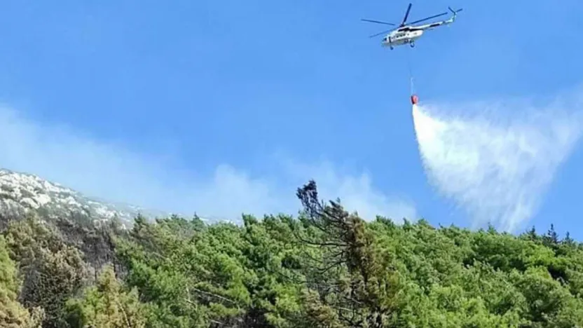 Hatay'da ormanlık alanda yangın