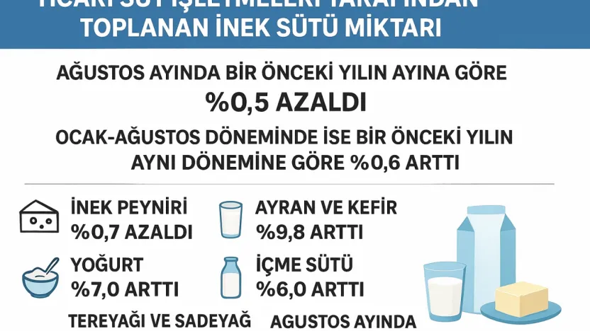 İçme Sütü Üretimi Ağustos'ta Yükseldi: 132 Bin Ton Seviyesinde