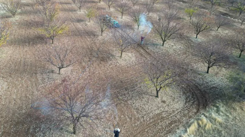 İl Müdürü Osman Akar'dan Kayısı Üreticilerine Sonbahar Uyarısı