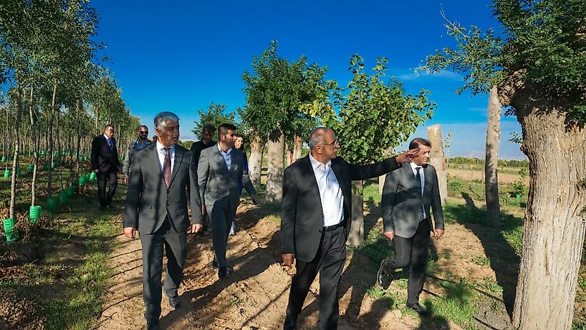 İstanbul'da Ağaç Tartışması, Malatya'nın Örneği Gündem Oldu