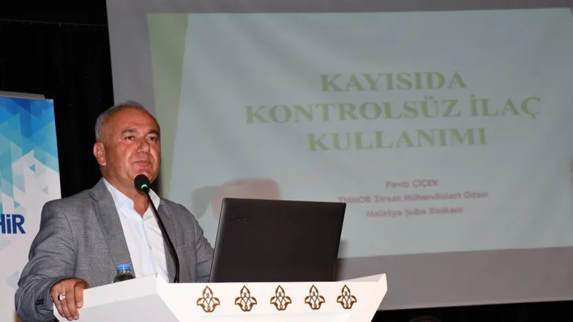 Kayısı Üretiminde Stratejik Daralma: Zirai Don ve Kuraklık Üreticiyi Endişelendiriyor