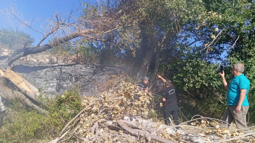 Kuluncak'ta elektrik hattı yangın paniğine neden oldu