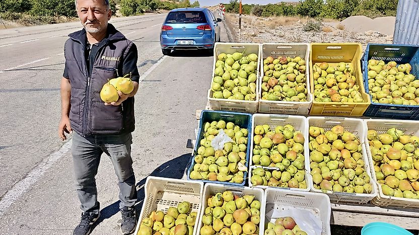 Kürecik'in meşhur bal armudu tezgâhlarda yerini aldı