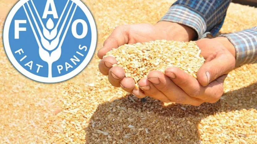 Küresel gıda fiyatları son 2 yılın en yüksek seviyesinde