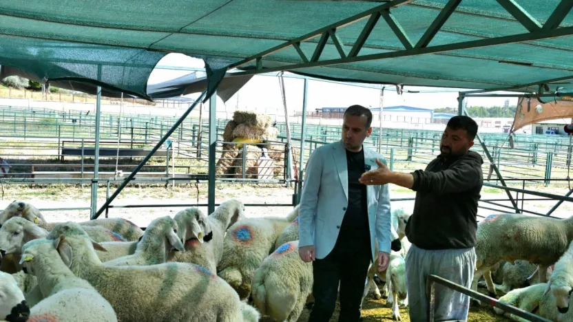 Maginder Başkanı Karademir'den hayvan pazarına bayram ziyareti.