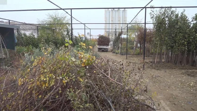 Malatya'da Afet Sonrası Büyük Kayıp: Fidanların Yarısı Hasarlı