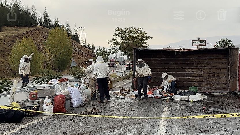 Malatya'da Arı Yüklü Kamyon Devrildi: 3 Yaralı