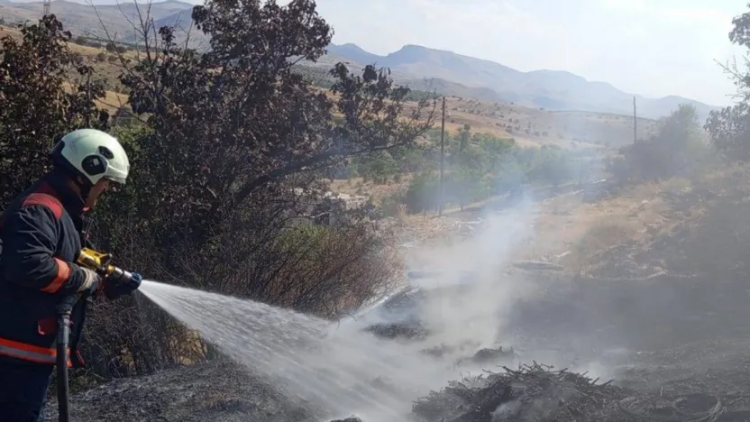 Malatya'da bahçe yangınlarında ağaçlar zarar gördü