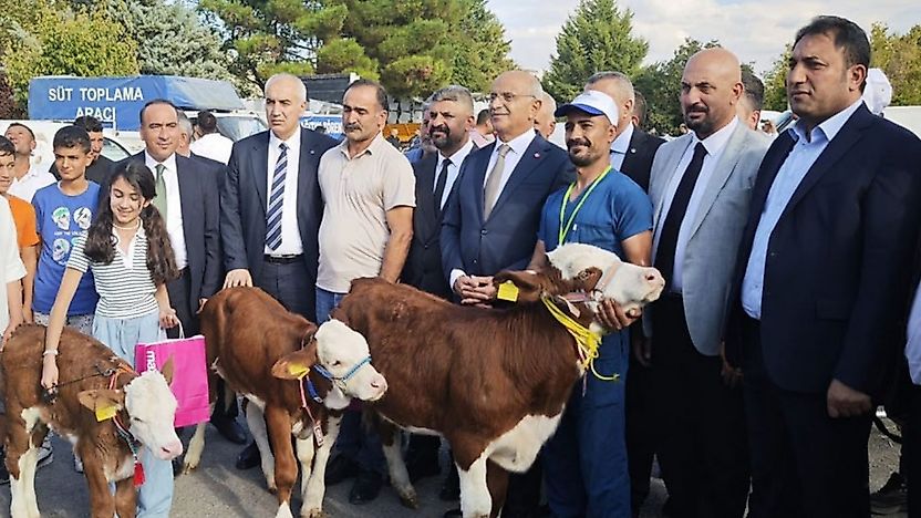 Malatya'da 'En Güzel Buzağı' yarışması düzenlendi