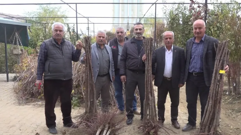 Malatya'da Meyve Fidanı Satış Sezonu Açıldı