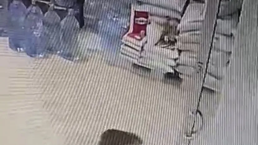 Malatya'da Nadir Görüntü: Su Samuru Kentte Tur Attı