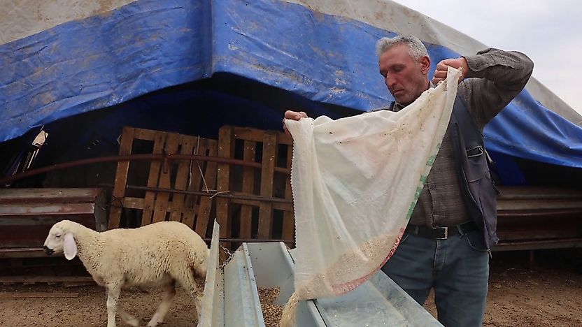 Malatya'nın Yüksek Rakımlı Yaylalarında Çobanların Hayatı Değişti
