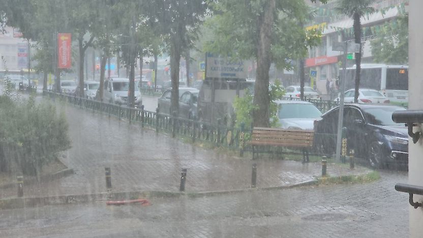 Marmara, Kuzey Ege ve Batı Karadeniz'de sabah ve gece sis etkili olacak