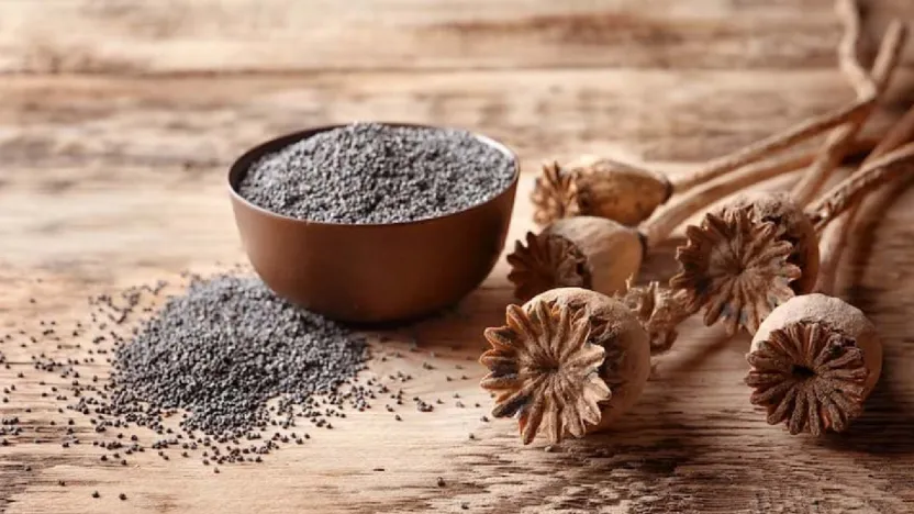 Mavi Haşhaş Tohumu Satışı Başladı