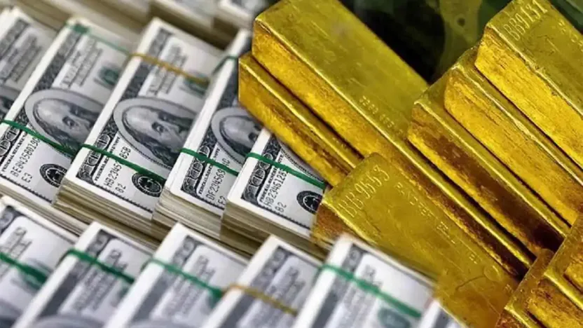 Merkez Bankası toplam rezervleri 171,8 milyar dolara ulaştı