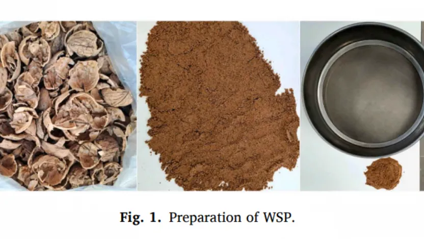 MTÜ Araştırmasıyla Ceviz Kabuğu Atıkları Yol Yapımında Ekonomik ve Sürdürülebilir Kullanılıyor