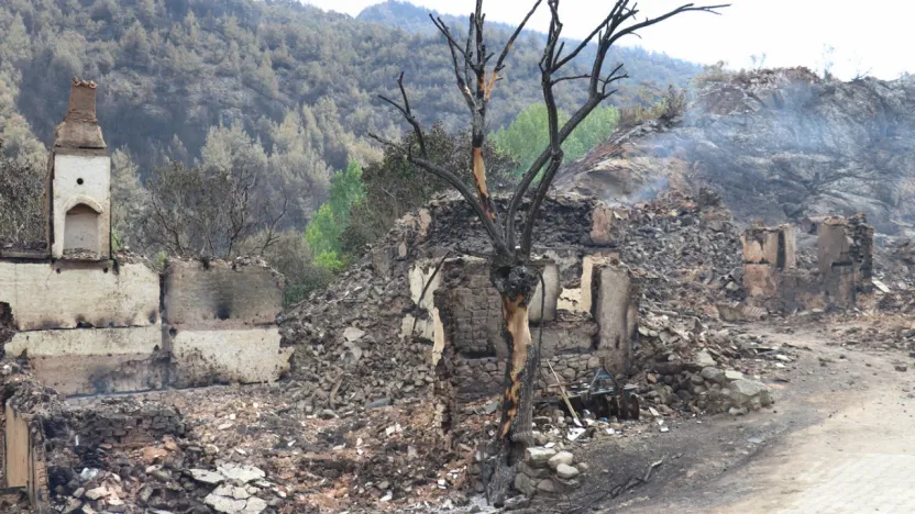 Orman yangınlarından etkilenenlere hane başına 162 bin TL'lik destek