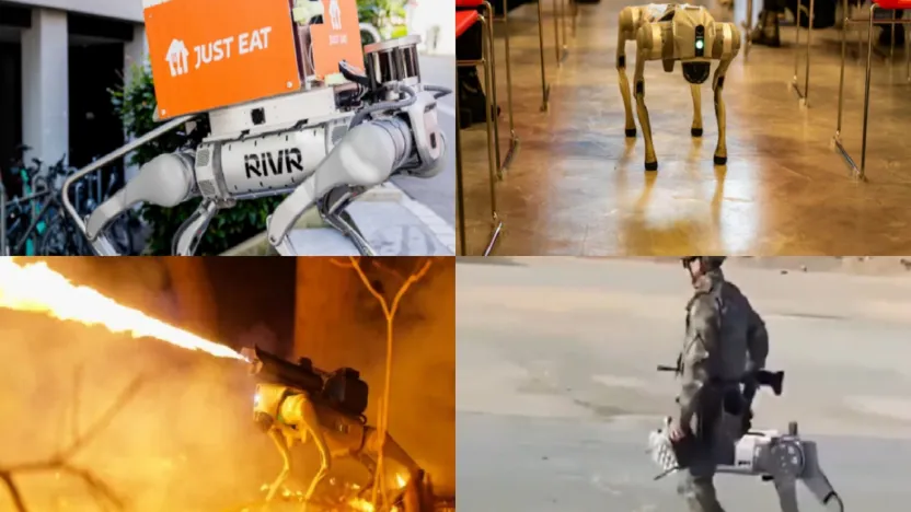 Robot köpeklerin kullanım alanı hızla genişliyor
