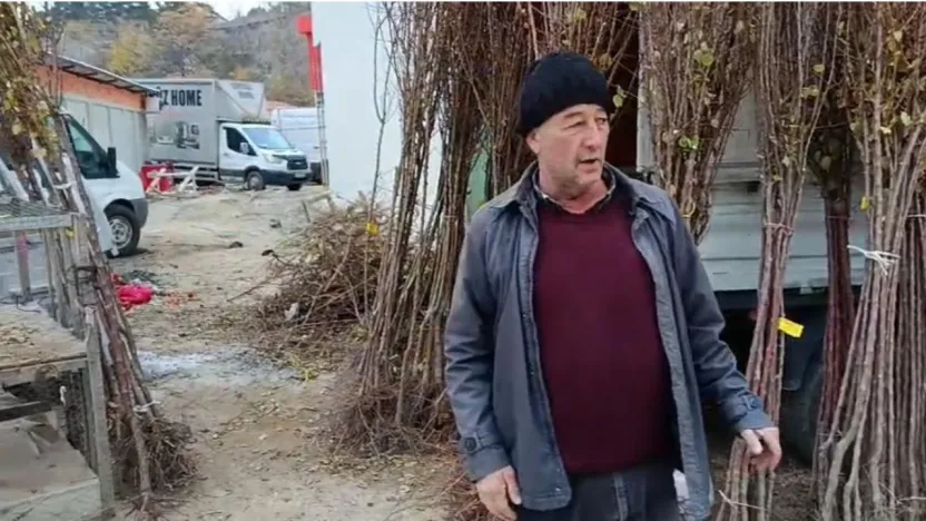 Susuz Arazilerde Kayısıya Yoğun Talep