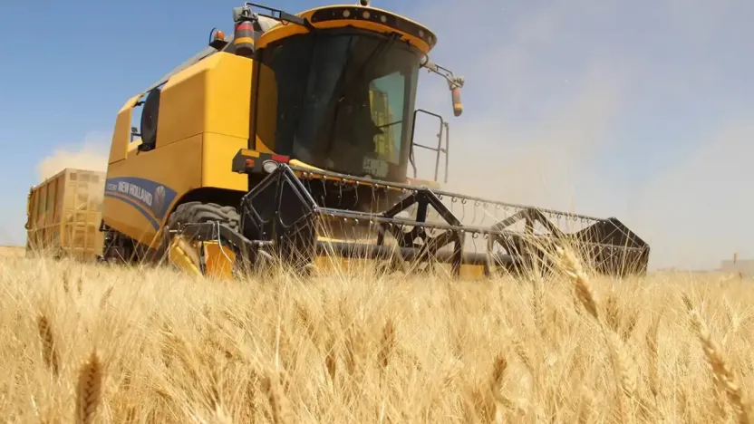 Tarım-GFE Ekim'de Yıllık %33,66 Arttı