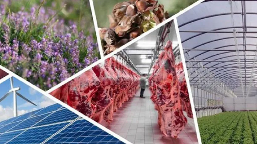 Tarımda Büyük Destek Paketi: Kadın ve Gençlere Öncelik