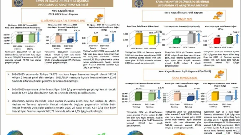 Temmuz 2025 dönemine ait Kuru Kayısı Dış Ticaret Raporu Yayımlandı
