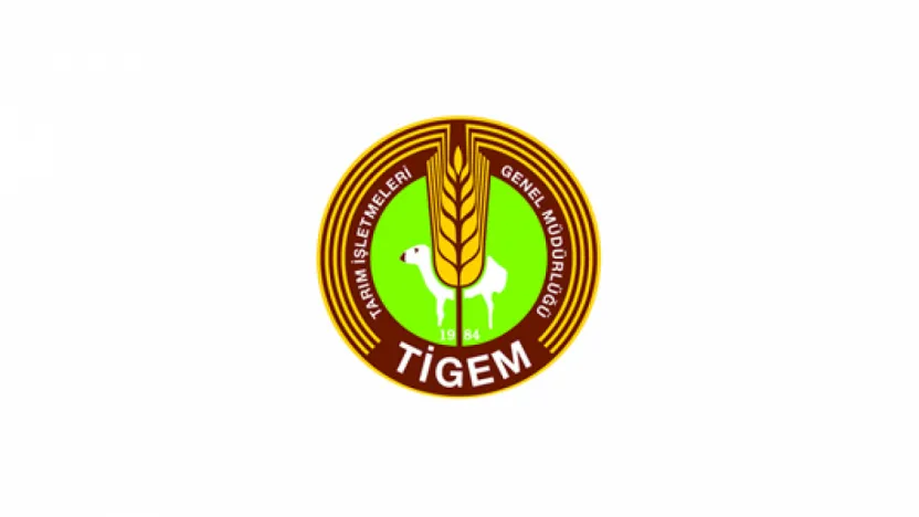 Tigem Kura Sonuçları