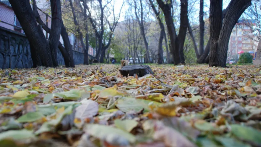 Ülke genelinde yağış beklenmiyor